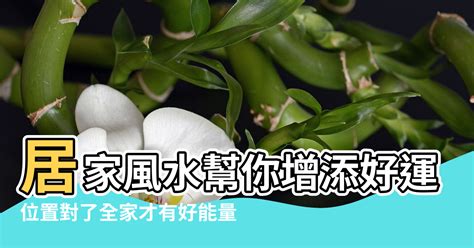 沙發 風水|沙發擺設10個小訣竅，居家風水幫你增添好運勢！｜設 